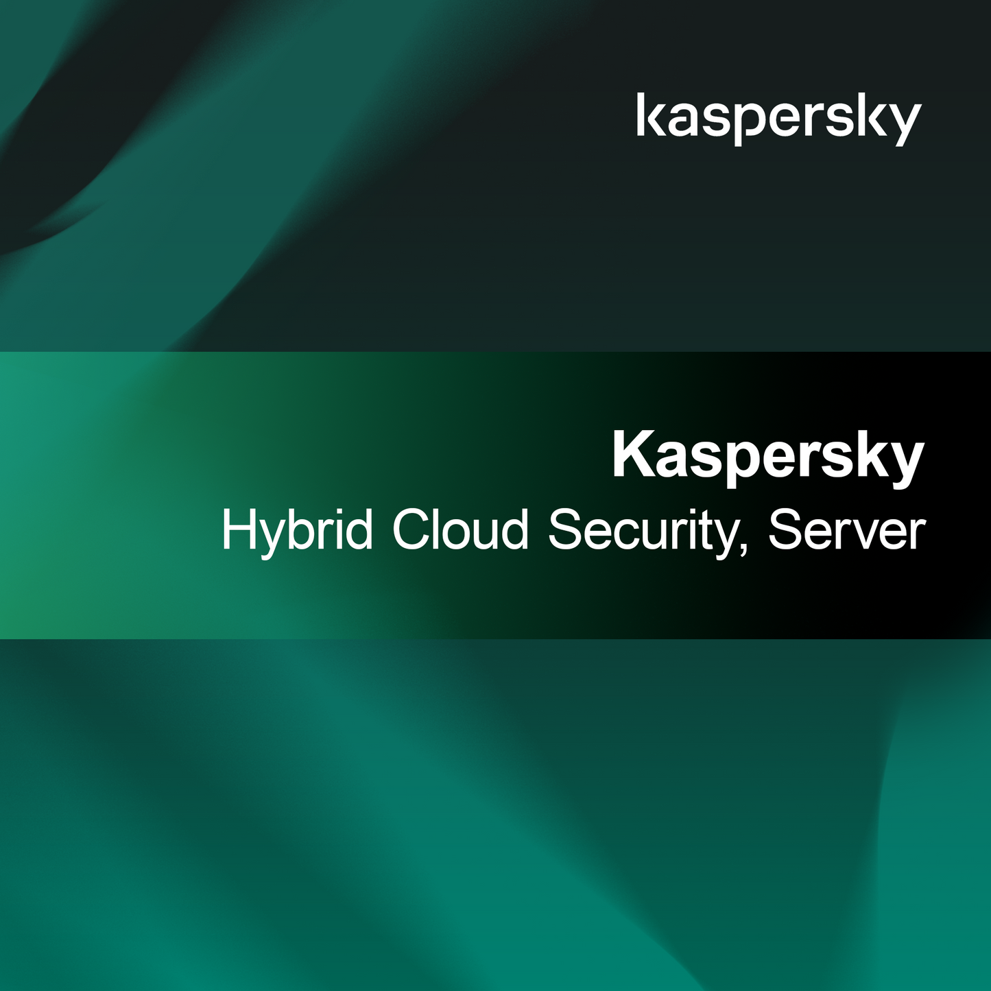 Kaspersky Hybrydowe Bezpieczeństwo Chmury, Serwer