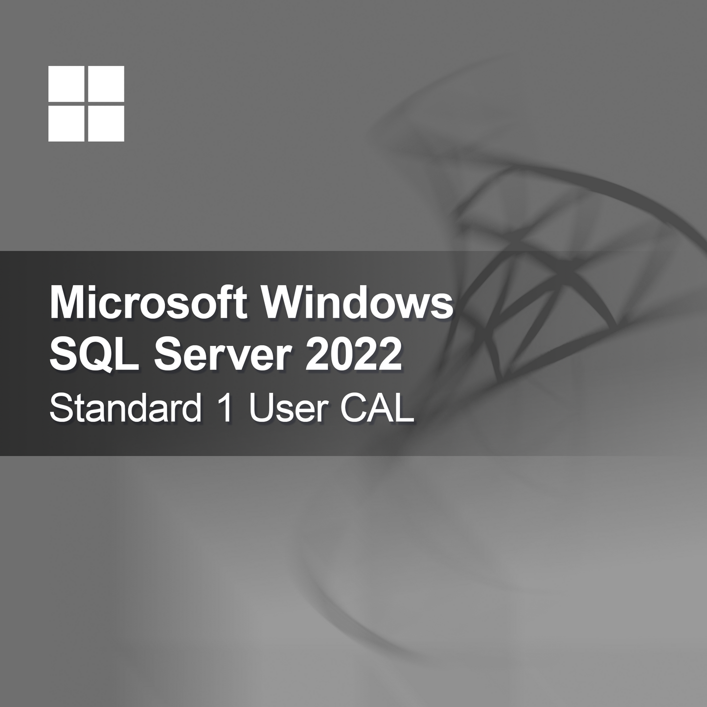 Microsoft SQL Server 2022 Standard 1 uživatelská CAL